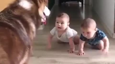 11 second baby funny video