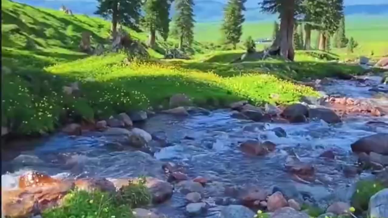 Such unique natural scenes which create a special place in the heart. 😍😍😘😘👍👍