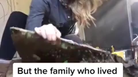 Save the bees.