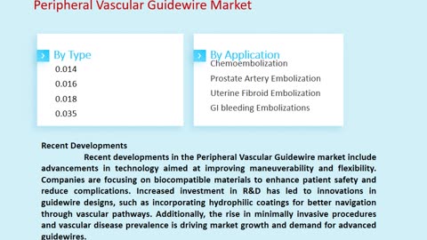 Peripheral Vascular Guidewire Market Outlook, 2025-2033