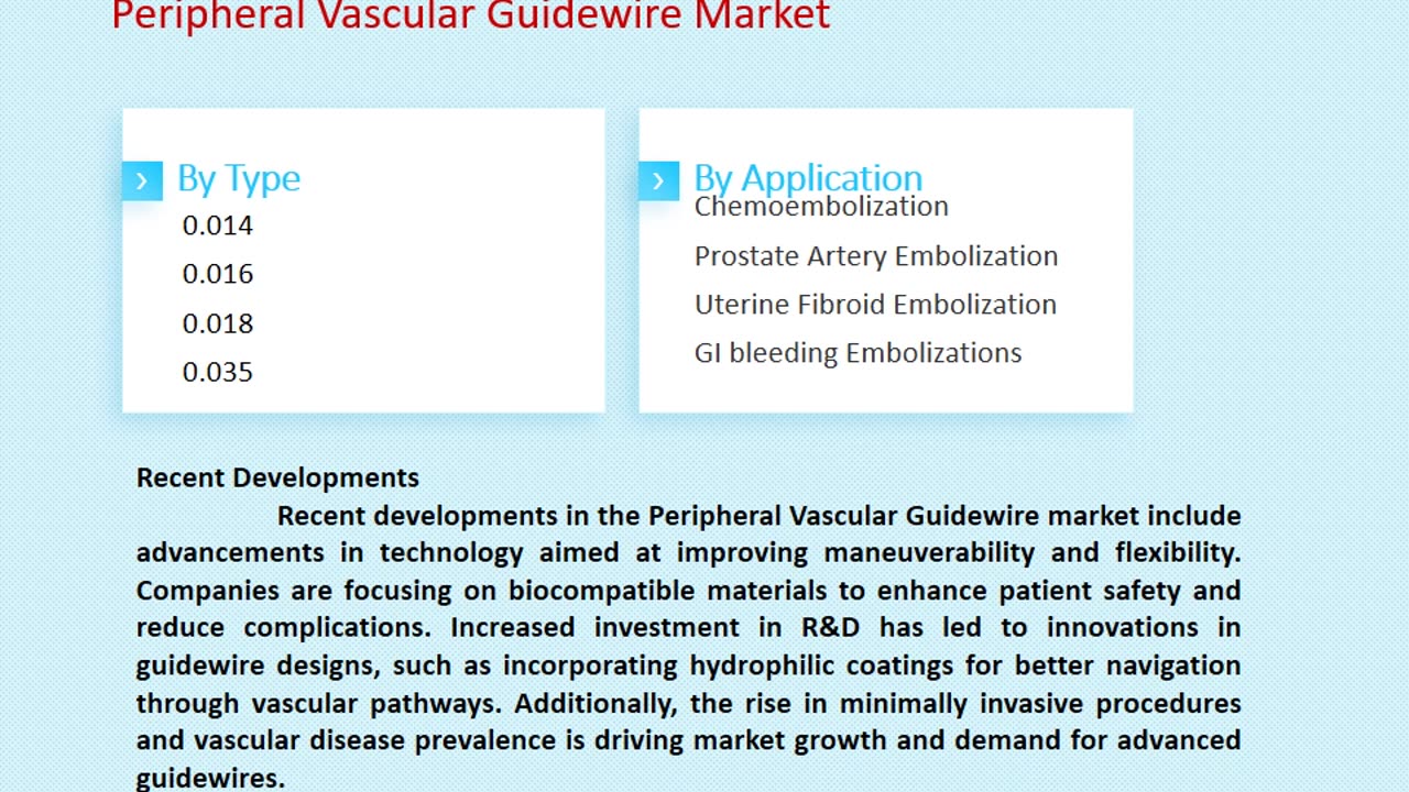 Peripheral Vascular Guidewire Market Outlook, 2025-2033