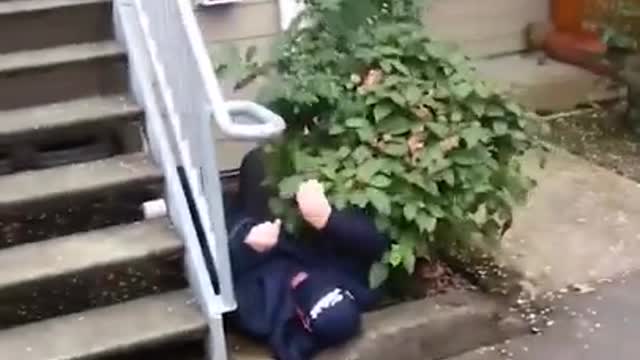 Best Funny Video Clips #shorts (96)
