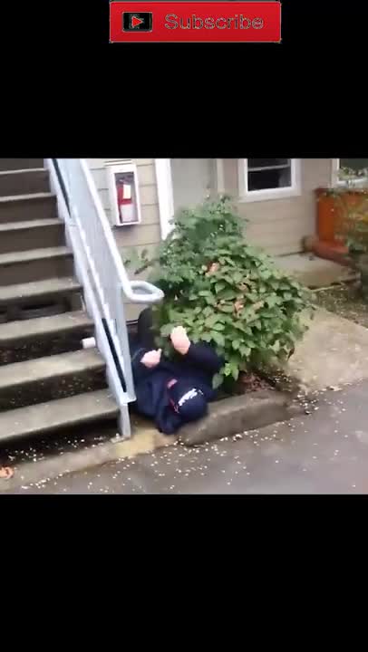 Best Funny Video Clips #shorts (96)