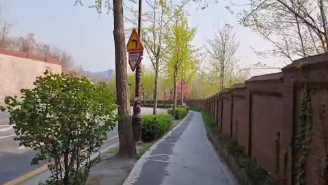 Beautiful Seoul Walkway