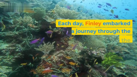 Fish Daily Life Routine