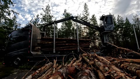 Loading my Timbertruck in the swedish woods