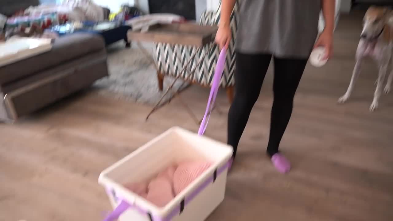 She Made A Train For Her Dogs 😍
