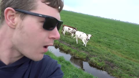 The Burping Cow Whisperer