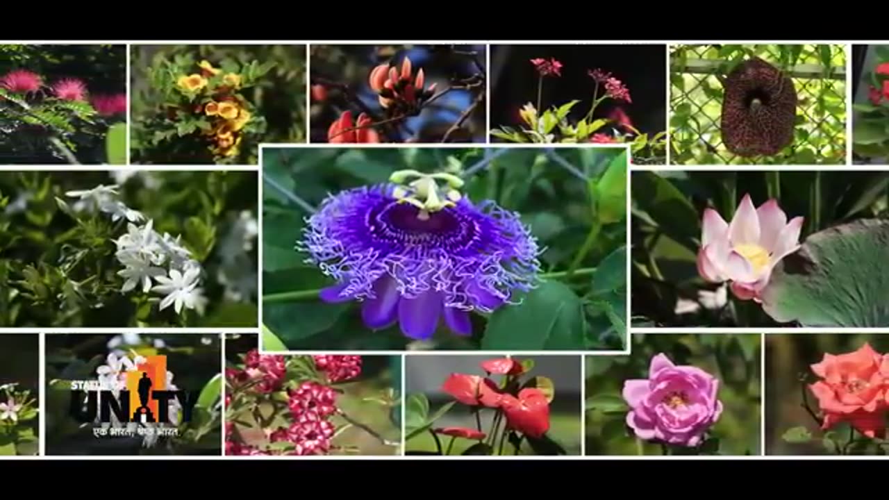 Prepare to be amazed by unseen wonders of Ekta Nagar: A fusion of beauty and tourism