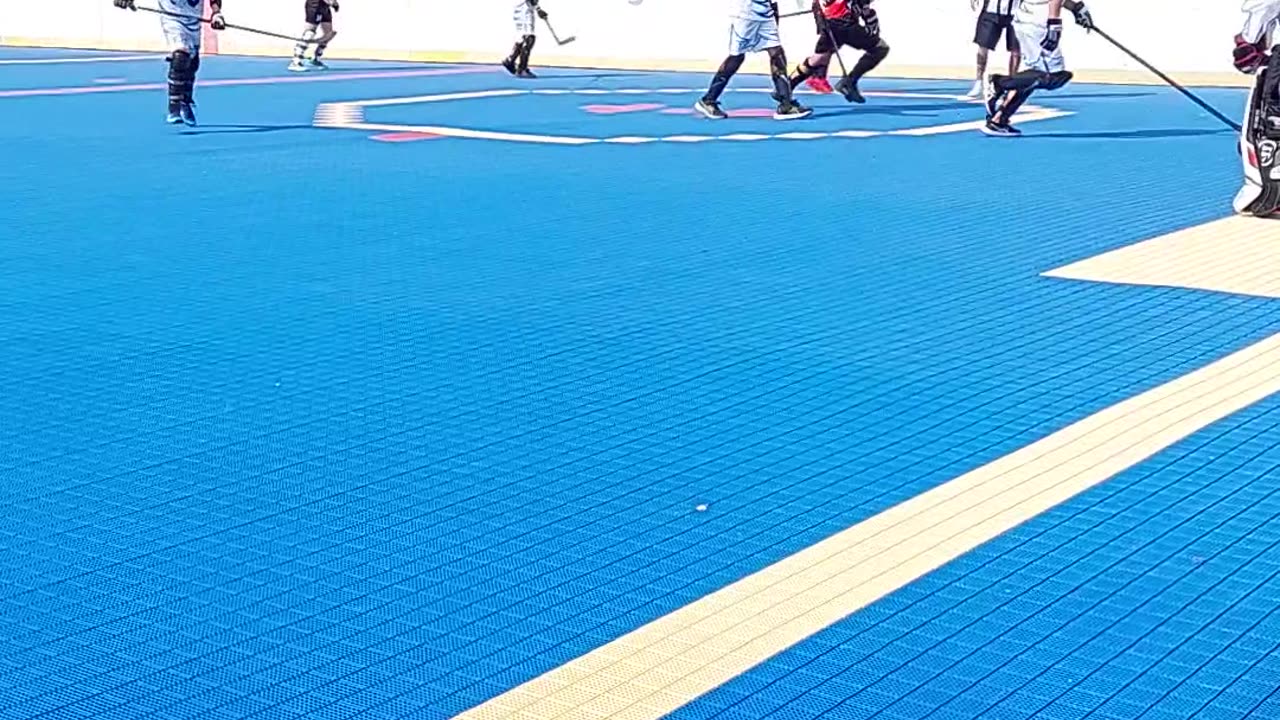 Raptors vs Bayside in dekhockey