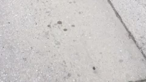 Drinking some micheladas