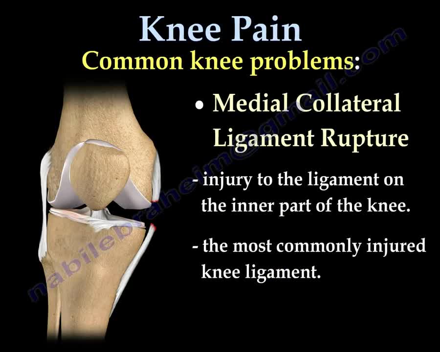 Knee Pain Causes Everything You Need To Know