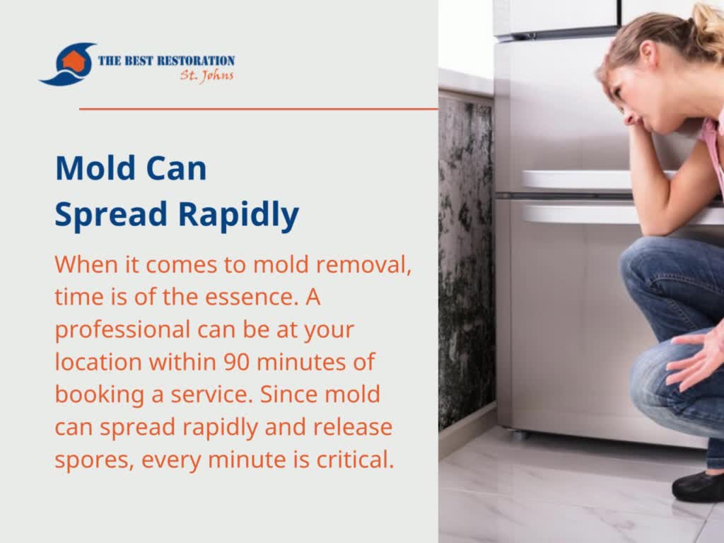 Why do you need professional mold remediation services?