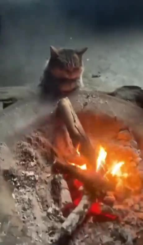 I love meditating by an open fire 🙏👍