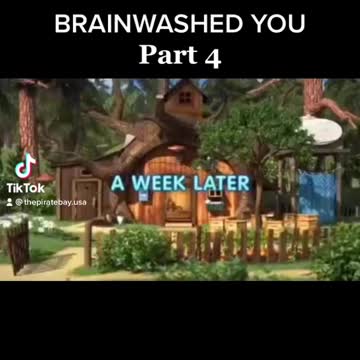 Hollywood Brainwashed you 2