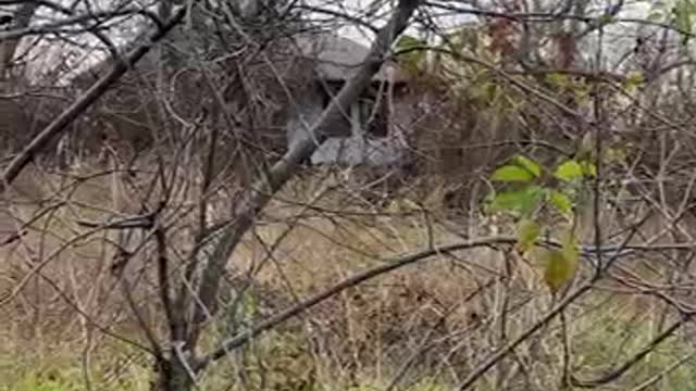 Casa bunicilor mei. Hirova