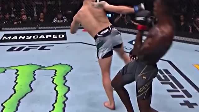 R. Whittaker 🇦🇺 vs I. Adesanya 🇳🇬