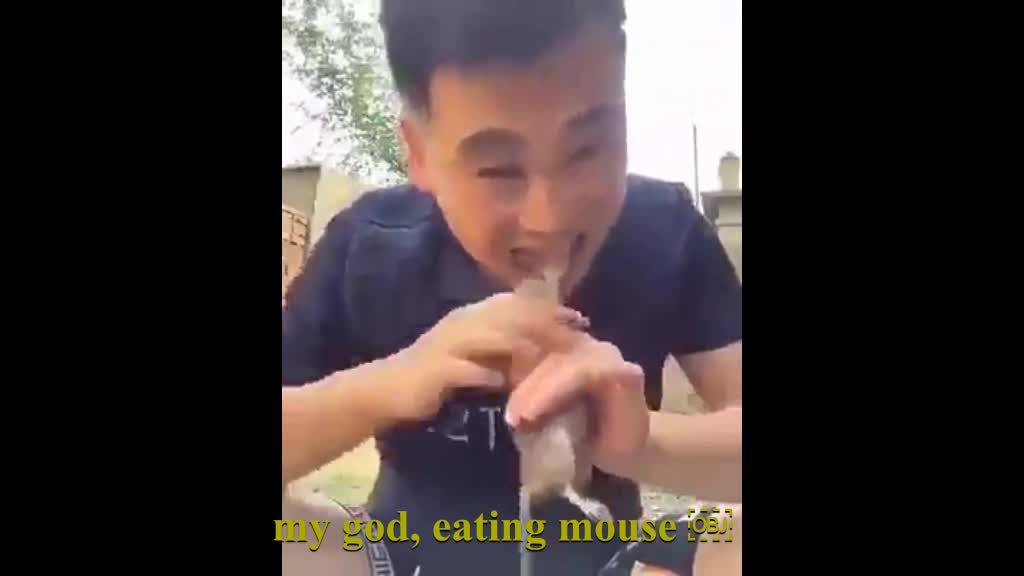 EATING A MOUSE