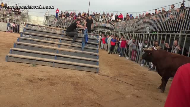 BULL CONTEST ◾ MONCADA ◾ (Benavent / Alba Atenea / F.Machancoses / G.Vidal / Parejo / H. Cali)