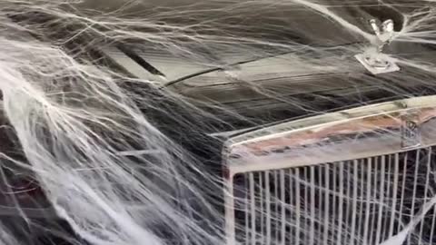 Happy Hallo ween#cars#howto