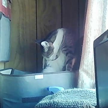 EA S63 - Bathtime Meatloaf