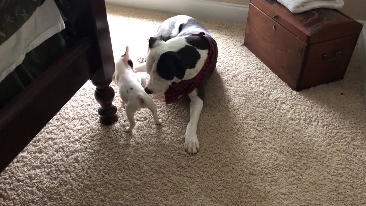 A friendship in the making
