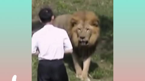 #animal attack video #attack video #dangerous animal