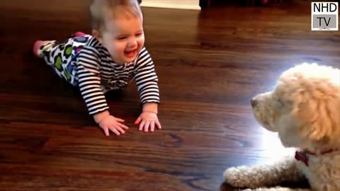 Cutest dogs in the world