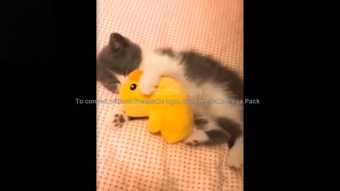 Cute and funny pets try not to laugh....... enjoy the video!