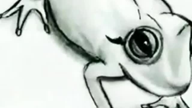 pencil drawing