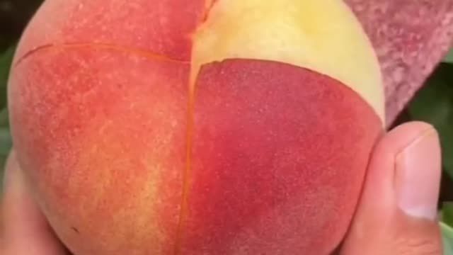 Fruits Video Farm Fresh Ninja Fruit Cutting Satisfying Fruit | Amazing Fruits Video #fruits #short