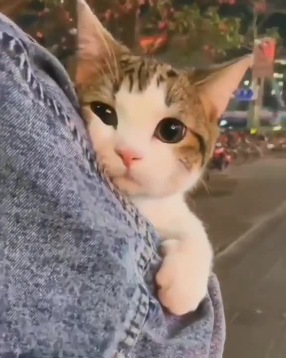 Her In A Tour Before The Quarantine, Like She Knew That It Will Be Her Last Tour