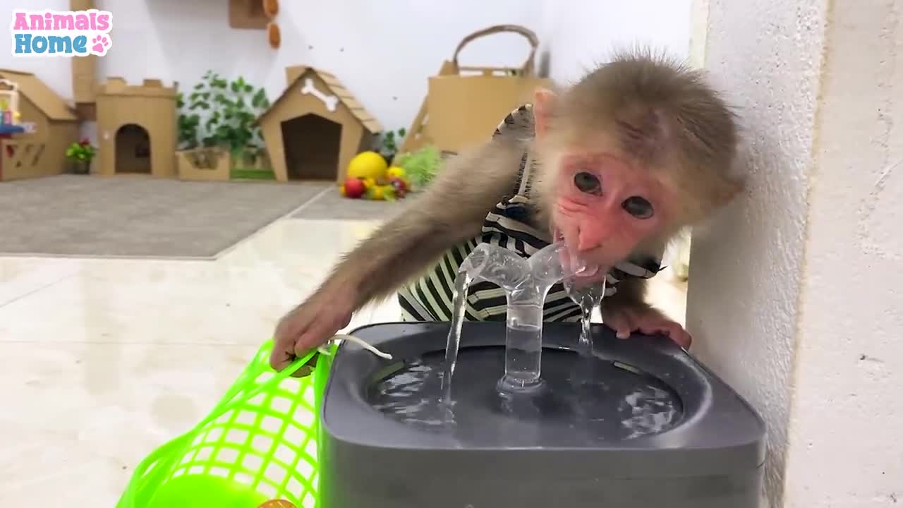 Smart bibi helps dad go to the market