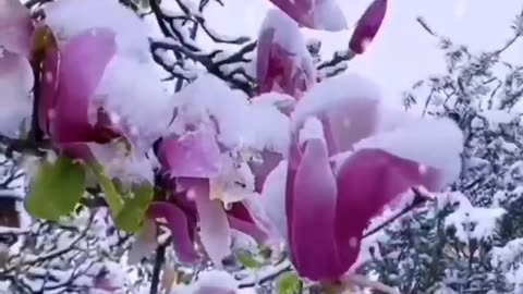 Beauty of Nature