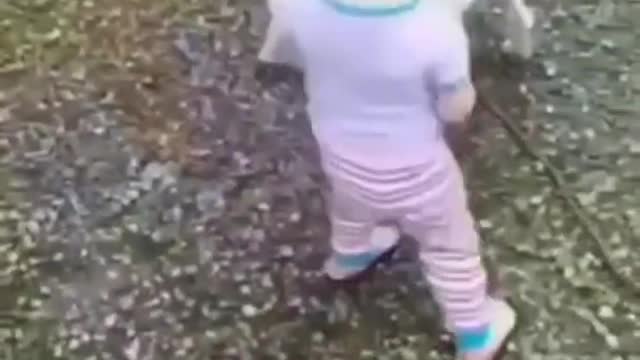 kid with gog fight funny video