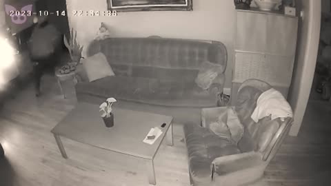 This Shocking Footage Has a Surprise Twist!