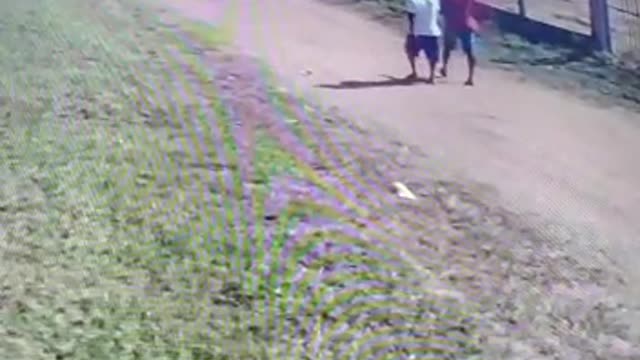 Cuidado: não veja até o final