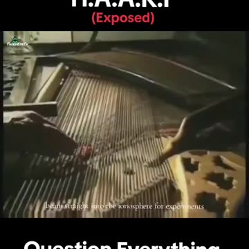 Question Everything!