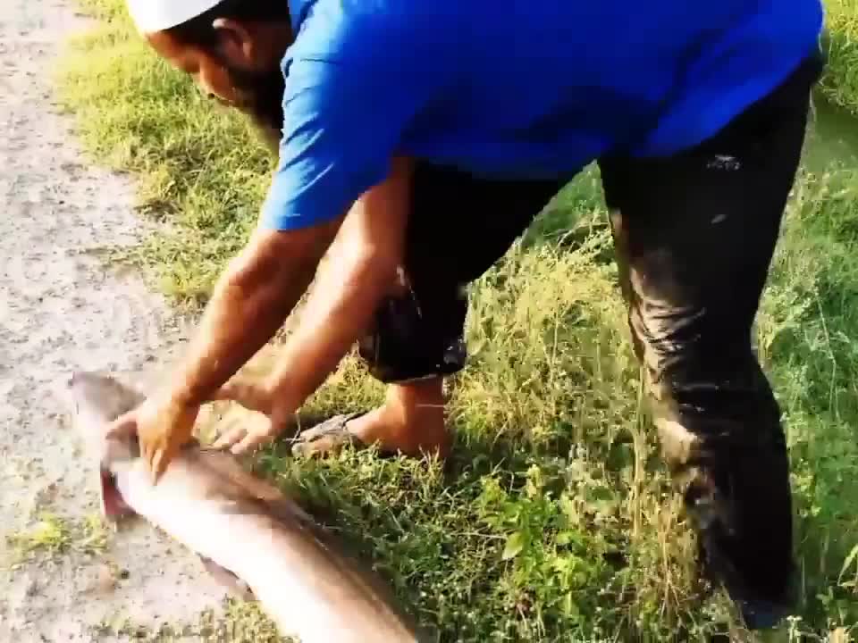 amazing fishing in flowing water catch monster fish