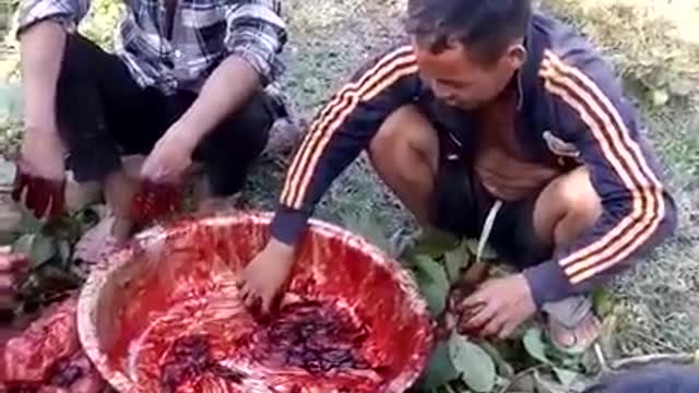 Raw meat - Horror dish in Vietnam