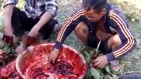 Raw meat - Horror dish in Vietnam