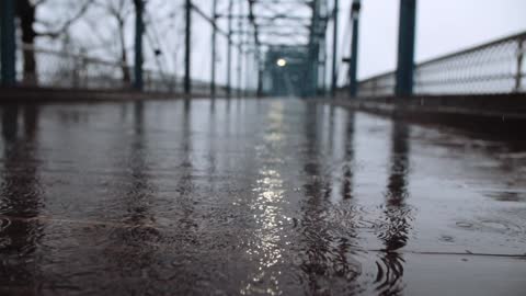 Rain in the twilight of the city.