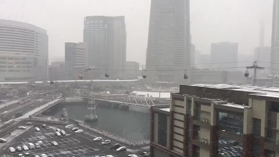 Snow in Yokohama | January 2022