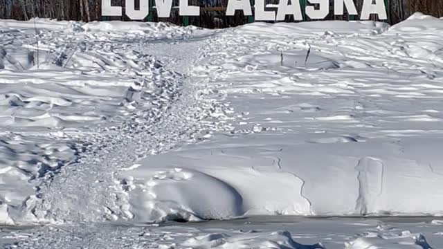 "LOVE ALASKA" Sign along with Chena River in Fairbanks, Alaska in April