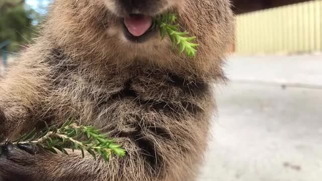 May what you choose be pure and what you like