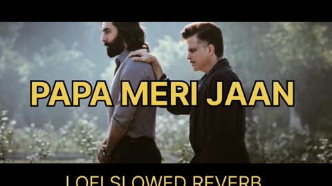 PAPA MERI JAAN ANIMAL MOVIE