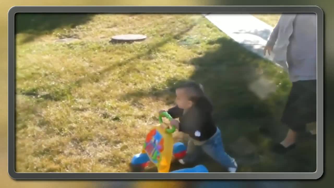 a must watch funny videos of babies