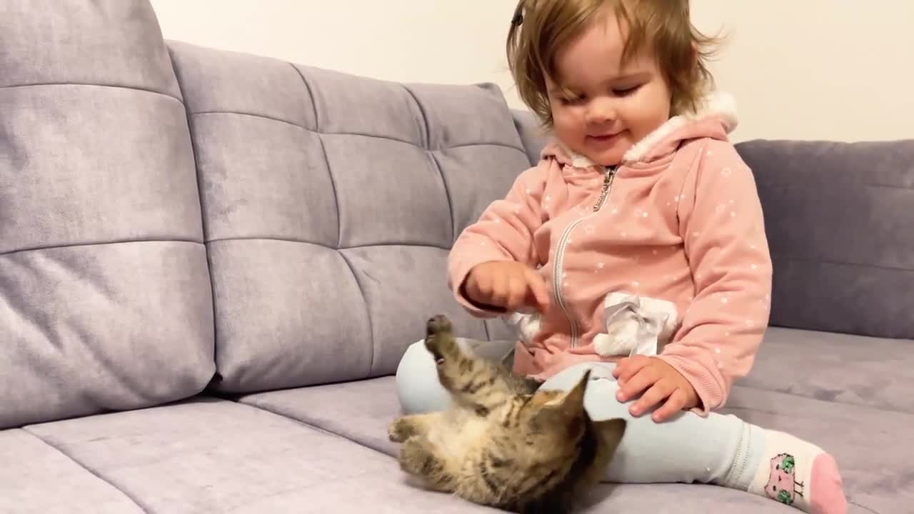 Baby and cat funny moment