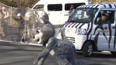 Japanese zoo simulates 'leopard' escaping in a practice drill