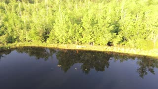 Drone flight over lower pond